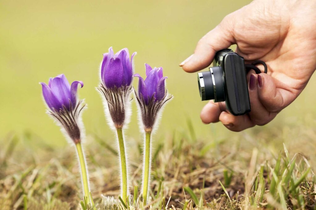 fotos mit einer kompaktkame Bild mit einer Kompaktkamera